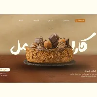 طراحی سایت حرفه‌ای با قیمت مناسب + تحویل فوری