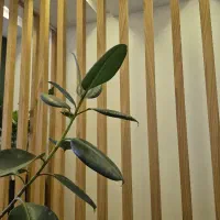 نیروی خدماتی