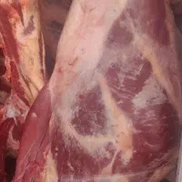 گوشت گوسفندی و گوساله