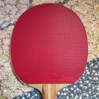 رویه راکت tsp curl cactus و tsp curl p4