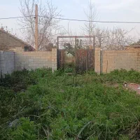 زمین روستایی در گیلان، لشت نشا،روستای پسبیجار گفشه|فروش زمین و ملک کلنگی|لشت نشا, |دیوار