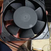 بلوور دونده