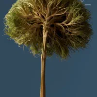 سلام ریموت ماشین آردی