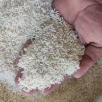 گوشت بوقلمون تنظیم بازاری برنج ایرانی تنظیم بازاری|خوردنی و آشامیدنی|کوهدشت, |دیوار