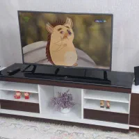 اسپیکر خانگی مارک آرگون ARGON تمیز و در حد نو|سیستم صوتی خانگی|مشهد, نیزه|دیوار