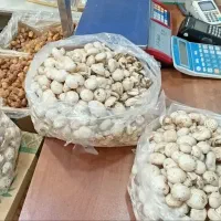 حراج خرما و قارچ و خشکبار علوی|خوردنی و آشامیدنی|مشهد, رسالت|دیوار