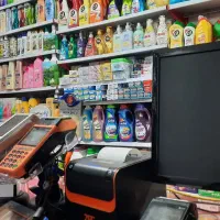 دو نیرو خانم