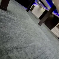 پالاز موکت نمایشگاهی|موکت|نسیمشهر, |دیوار