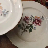 ۶ عدد پیش دستی به همراه شیرینی خوری