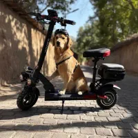 اسکوتر برقی vineer باکس دار آفرود چکی بدون پول|دوچرخه، اسکیت، اسکوتر|اصفهان, بوستان ناژوان|دیوار