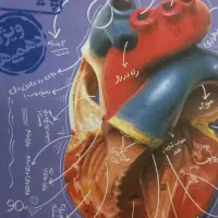 تدریس خصوصی زیست شناسی