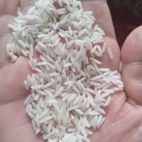 160 کیلو برنج هاشمی درجه یک اصل سورتینگ شده