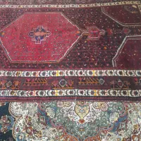 قالی|فرش|کرمانشاه, |دیوار