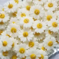 شمع دستساز گل مارگاریت بابونه گیفت عروس|صنایع دستی و سایر لوازم تزئینی|شیراز, قدوسی شرقی|دیوار
