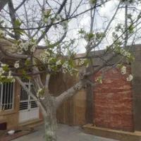 باغ تالار فدک توس ۸۵|خدمات پذیرایی، مراسم|مشهد, شهرک مطهری|دیوار