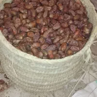 مجول|خوردنی و آشامیدنی|اهواز, شهرک توسعه نیشکر|دیوار