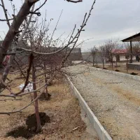 فروش-باغ-قدیمی1000متری-سندتک-برگ-انشعابات-وصل