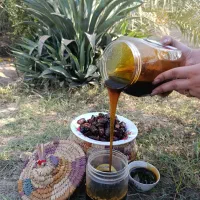 شیره خرما سنتی