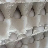 واگذاری سوپر مارکت