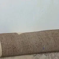 گلیم|گلیم، جاجیم، گبه|بندر کنگان, |دیوار