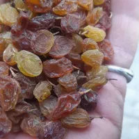 کشمش سبز وبادام