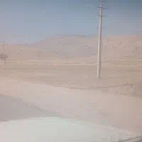 گونی جا ارد