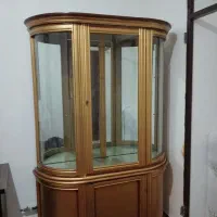 ویترین سالم