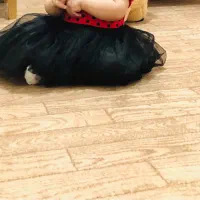 موکت ۱۲متری طرح پارکت