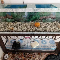 آکواریوم با وسایل