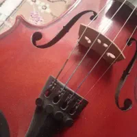 ویالون،ویولن AMATI 100|ویولن|نجف‌آباد, فرخی|دیوار