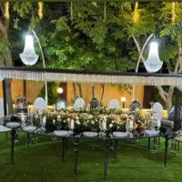 صندلی تالار  فانوس