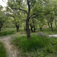 اجاره سوئیت. خانه ویلایی. ویلا .در تالاب چغاخور|اجارهٔ کوتاه‌مدت آپارتمان و سوئیت|شهرکرد, |دیوار