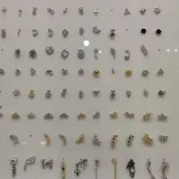 فروش انواع گوشواره و پیرسینگ