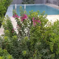 ویلاباغ استخر دار|اجارهٔ کوتاه‌مدت ویلا و باغ|بهبهان, |دیوار
