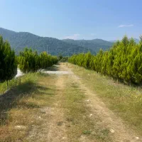 زمین /جهت فعالیت گردشگری/دهکده توریستی اهنگرکلا