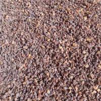 کشمش فروشی|خوردنی و آشامیدنی|قزوین, |دیوار
