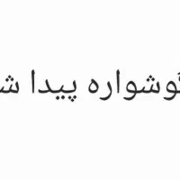 پیدا شده / گم شده