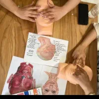 آموزش تخصصی فیشال و اسکالپ سر