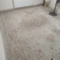 فرش ۱۲ متری|فرش|ابهر, |دیوار