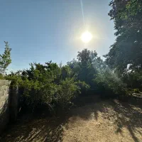 باغ باغچه در محله کن