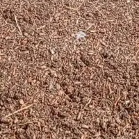 خوراک دام و طیور