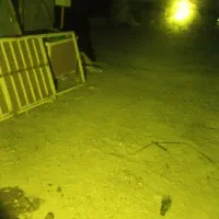 چراغ قوه خاص|کوهنوردی و کمپینگ|زاهدان, |دیوار