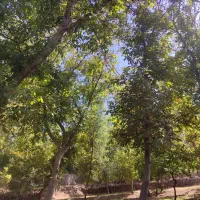 فروش باغ ویلایی دراسکو