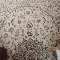 فرش نایین|فرش|تهران, چهارصد دستگاه|دیوار