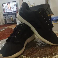 کفش اسپورت