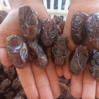 خرمای بسته بندی جنوب|خوردنی و آشامیدنی|آبپخش, |دیوار