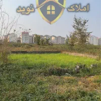 فرصت کمیاب/۱۵۱متر دوبر/زعفرانیه/جهاد|فروش زمین و ملک کلنگی|رشت, کوی غلام نیا|دیوار