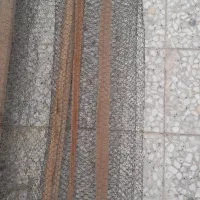 تور مرغی مفت