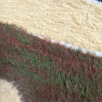 یک کارت ملی بنام فاطمه مهری دربم پیداشده