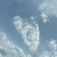 ادکلن زنانه